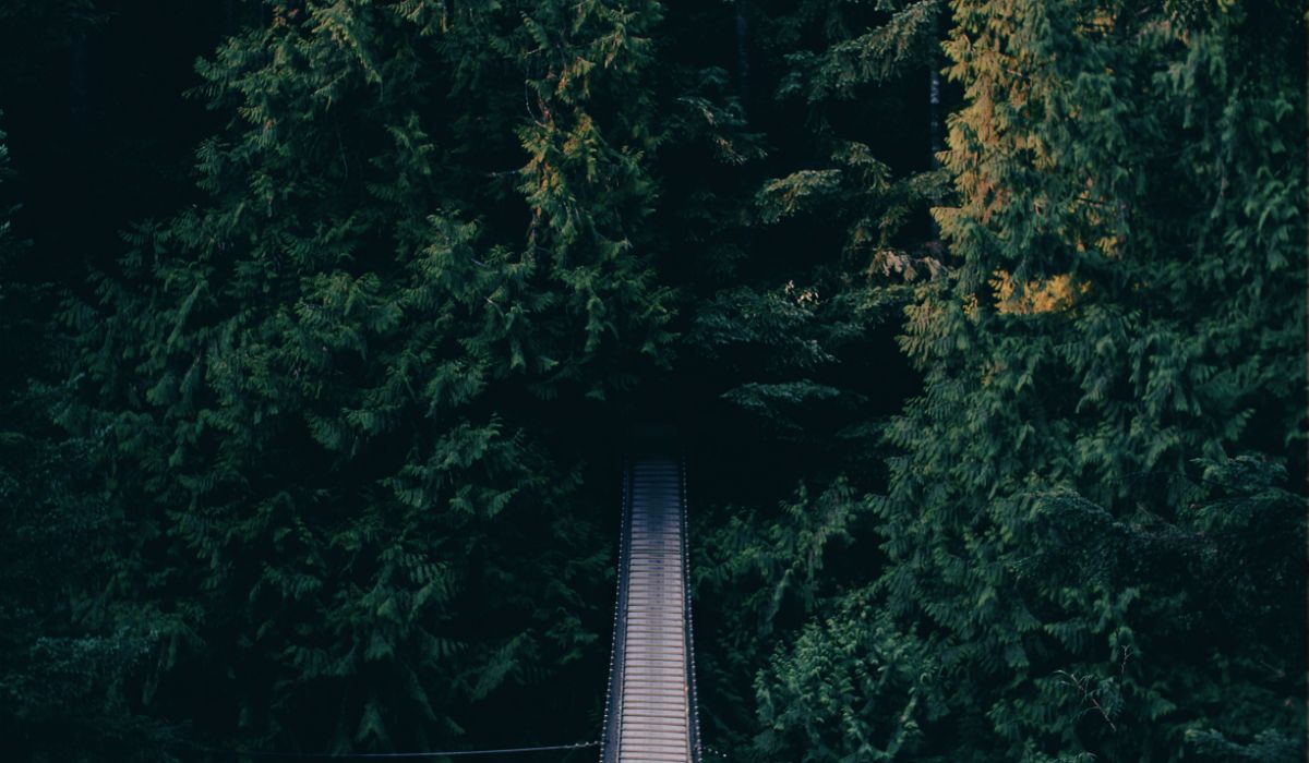 forestbridge
